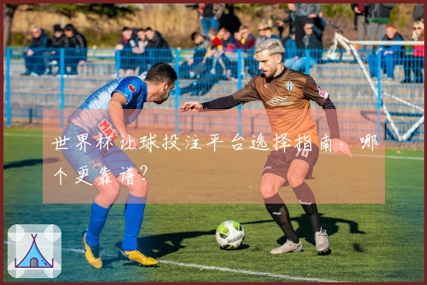 世界杯让球投注平台选择指南，哪个更靠谱？