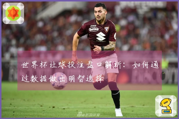 世界杯让球投注盘口解析：如何通过数据做出明智选择