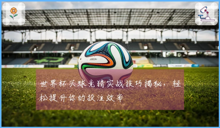 世界杯买球竞猜实战技巧揭秘，轻松提升你的投注效率