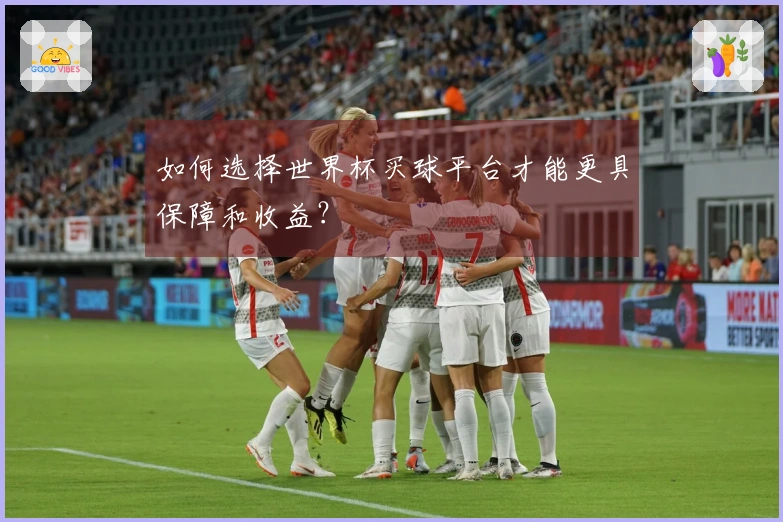 如何选择世界杯买球平台才能更具保障和收益？