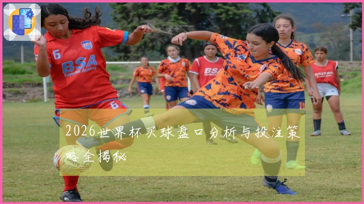 2026世界杯买球盘口分析与投注策略全揭秘