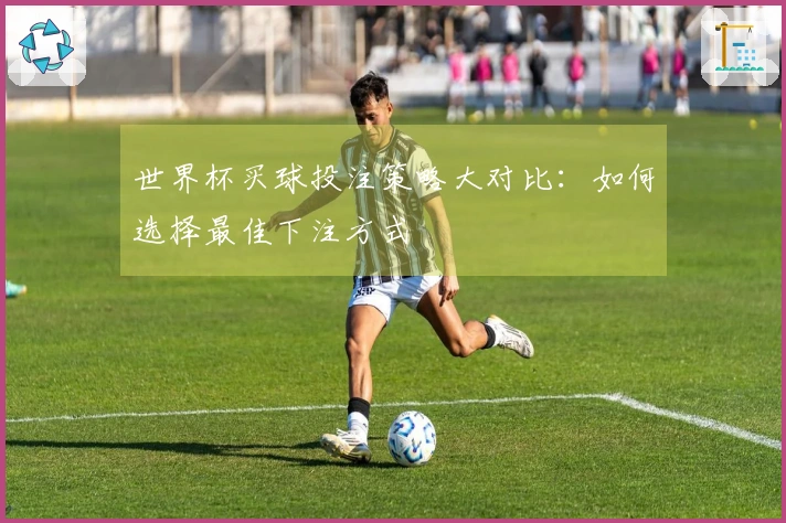 世界杯买球投注策略大对比：如何选择最佳下注方式