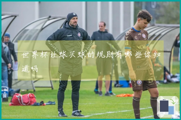 世界杯让球买球的规则有哪些你知道吗