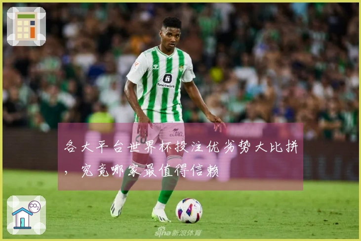 各大平台世界杯投注优劣势大比拼，究竟哪家最值得信赖