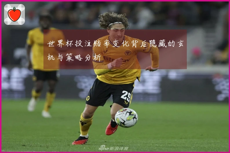 世界杯投注赔率变化背后隐藏的玄机与策略分析