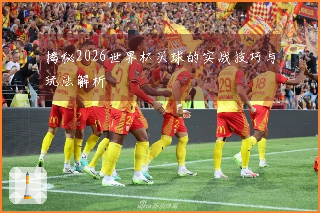 揭秘2026世界杯买球的实战技巧与玩法解析